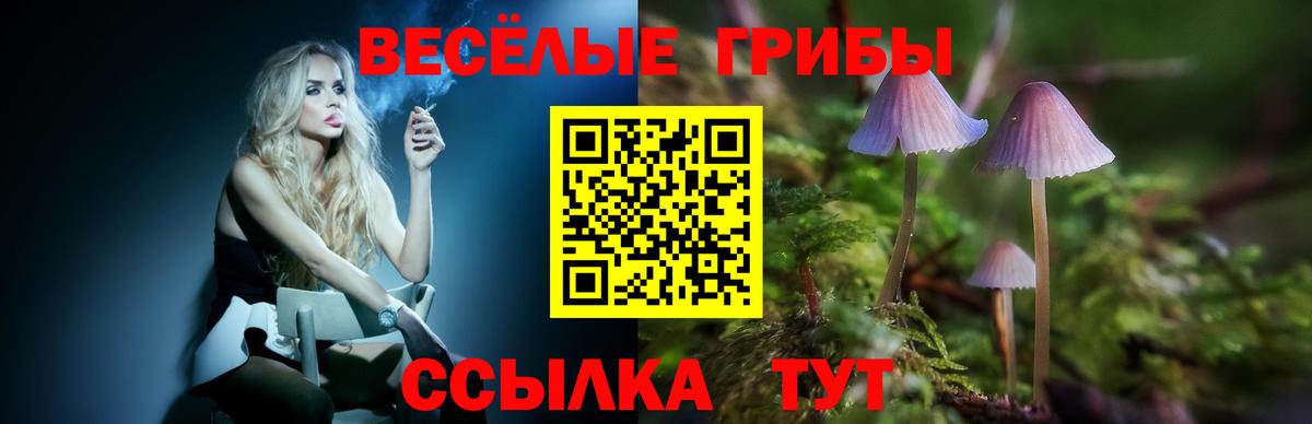 Усть-Илимск  Галлюциногенные грибы MAGIC MUSHROOMS  магазин  наркотиков  Вход с VPN 